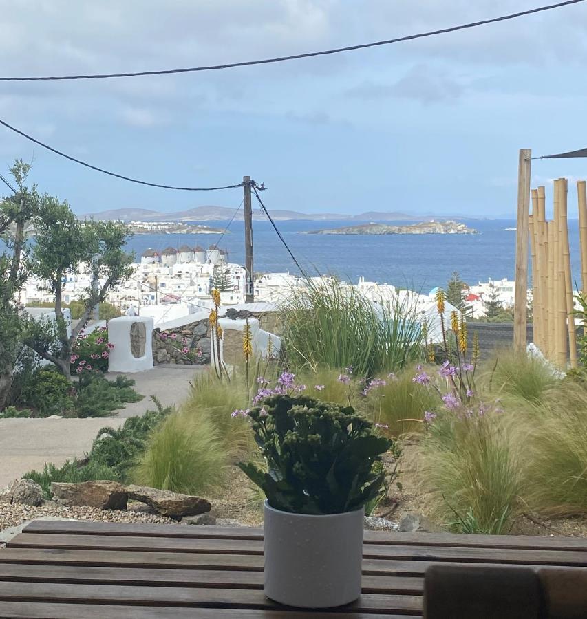 The View Of Mykonos Apartman Mykonos Town Kültér fotó