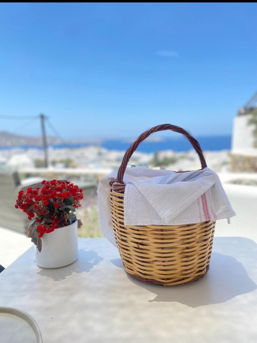 The View Of Mykonos Apartman Mykonos Town Kültér fotó